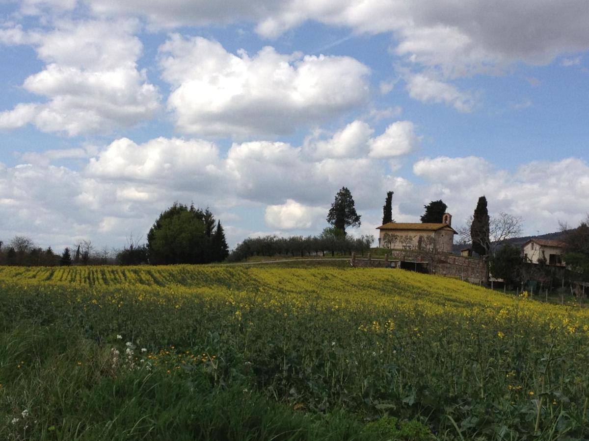 Gli Ulivi D'Argento Villa Assisi Exterior foto